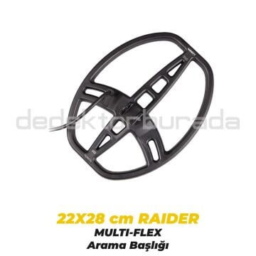 Ace Apex Dedektör Raider Başlık (22x28cm) + DD Reaper Başlık (36x28cm)