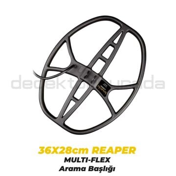 Ace Apex Dedektör Raider Başlık (22x28cm) + DD Reaper Başlık (36x28cm)