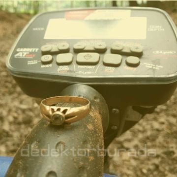 At Max International Dedektör (8,5x11'' DD Başlıkla)