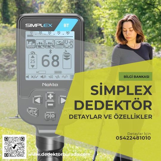 Simplex Dedektör