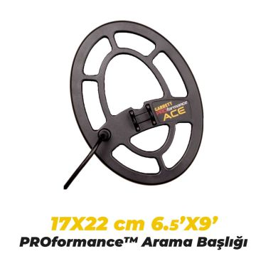 Ace 250 Dedektör
