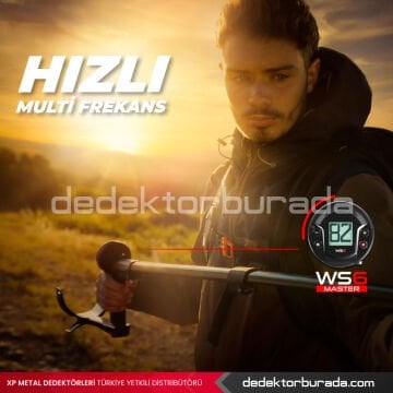 Deus 2 Dedektör - 22,5cm FMF Başlık, WS6 ST Master