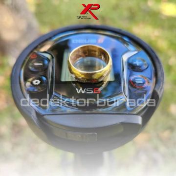 Deus 2 Dedektör - 28cm FMF Başlık, WS6 Master