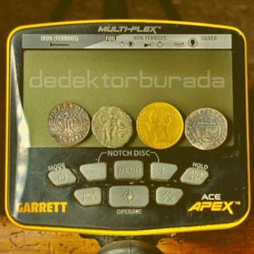 Ace Apex Dedektör Raider Başlık (22x28cm) + DD Reaper Başlık (36x28cm)
