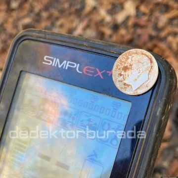 Simplex+ Dedektör