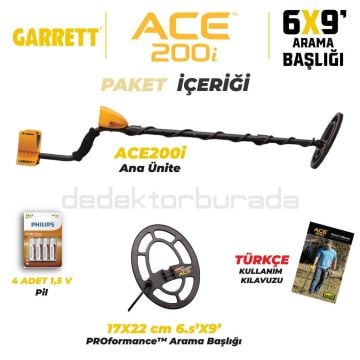Ace 200i Dedektör