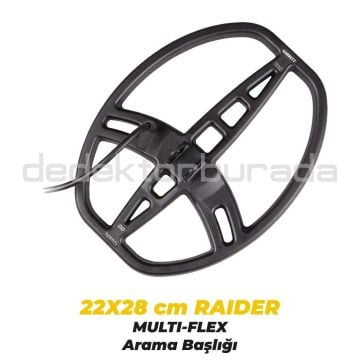 Ace Apex Basic Dedektör Raider Başlıklı (22x28cm) X Pointer 1 Avantajlı Paket