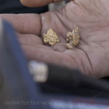 GOLD MONSTER 2000 ALTIN DEDEKTÖRÜ