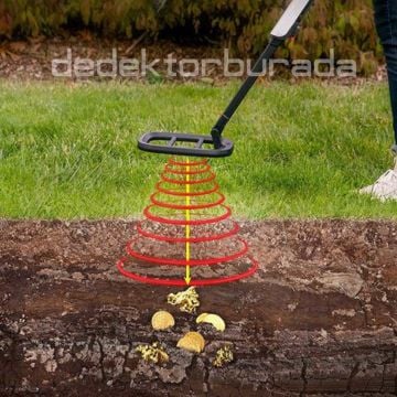 Go Find 66 Dedektör
